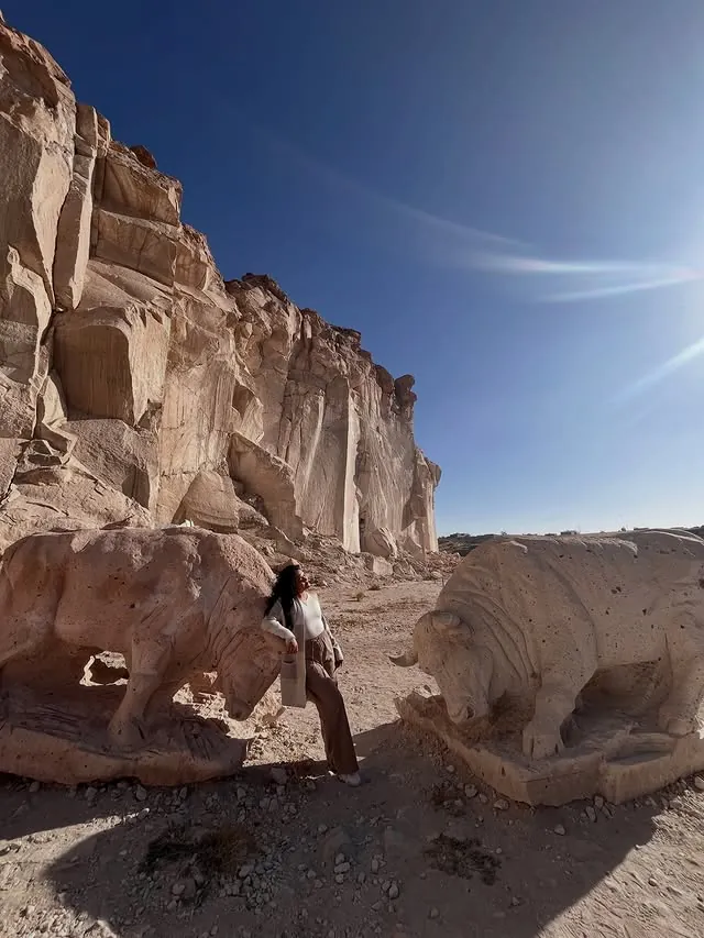 Bulls carved in sillar
